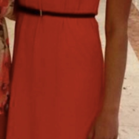 BCBG MaxAzria Coral Dress - Picture 4 of 4